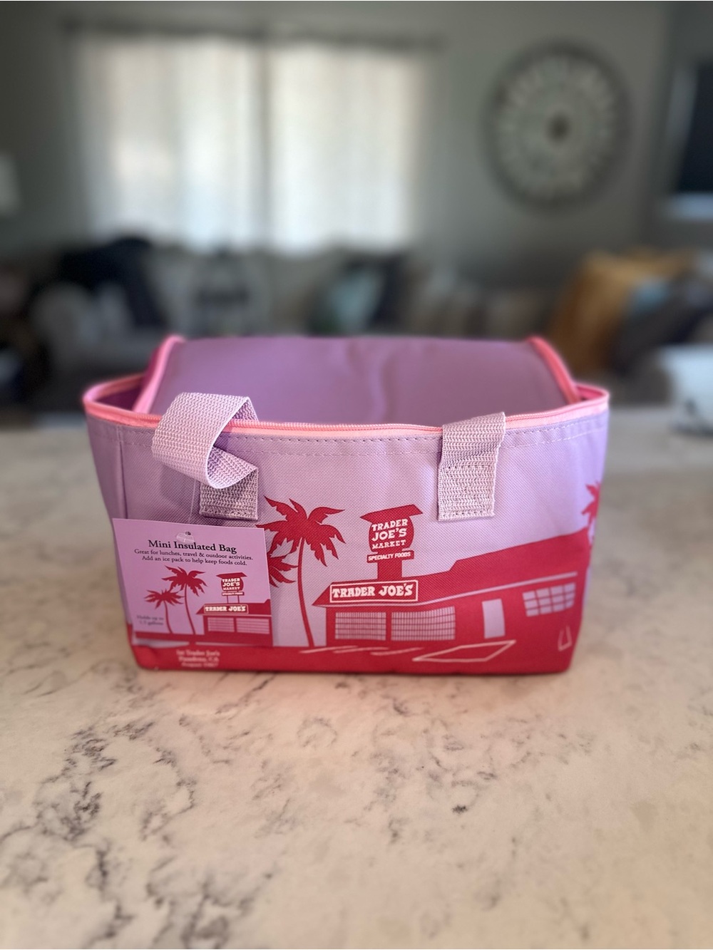 *JUST RELEASED* Trader Joes Lavender & Pink Insulated Mini Tote